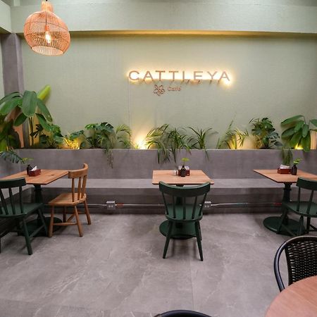 Apartamentos Housy Laureles Medellín Kültér fotó